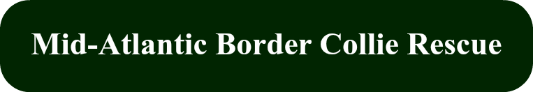 MABCR image